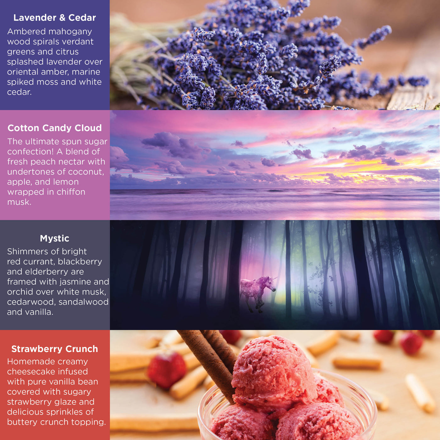 Scented Wax Cube Sample Pack of 8 ScentSationals