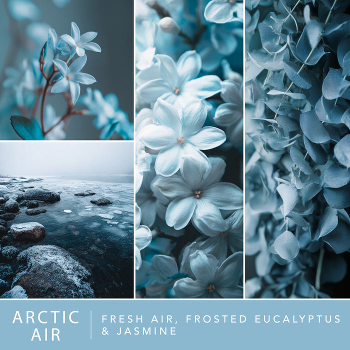 Arctic Air - Fragrance Oil Plug In Air Freshener 3pk