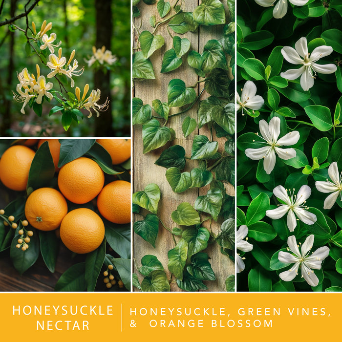 Honeysuckle Nectar - Fragrance Oil Plug In Air Freshener 3pk