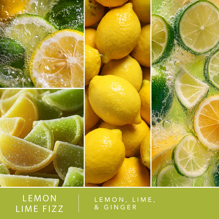 Lemon Lime Fizz - Fragrance Oil Plug In Air Freshener 3pk