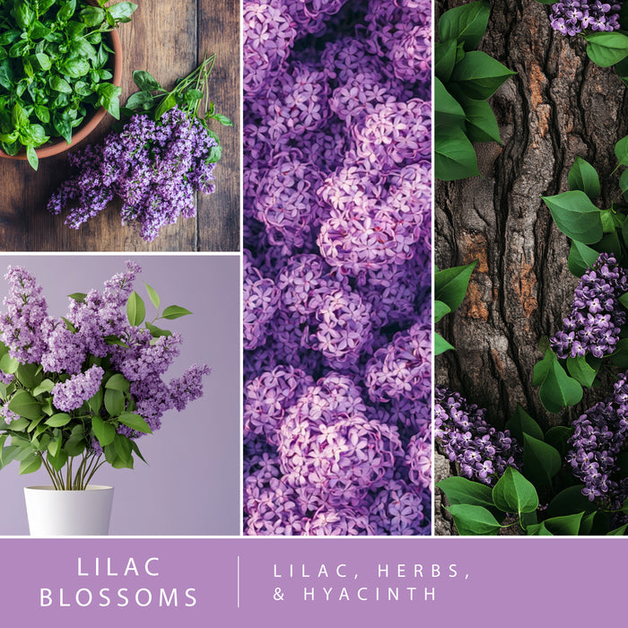 Lilac Blossoms - Fragrance Oil Plug In Air Freshener 3pk