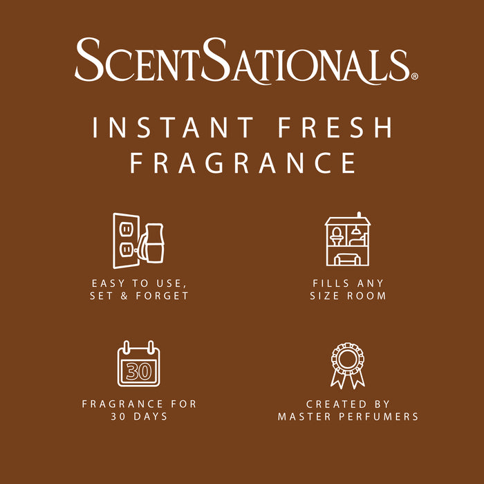 Brown Sugar Cinnamon - Fragrance Oil Plug In Air Freshener 3pk