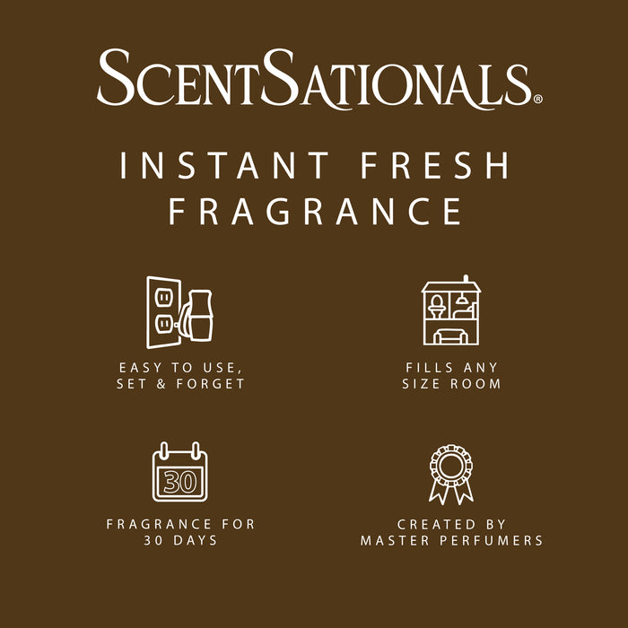 Cinnamon Cheer - Fragrance Oil Plug In Air Freshener 3pk