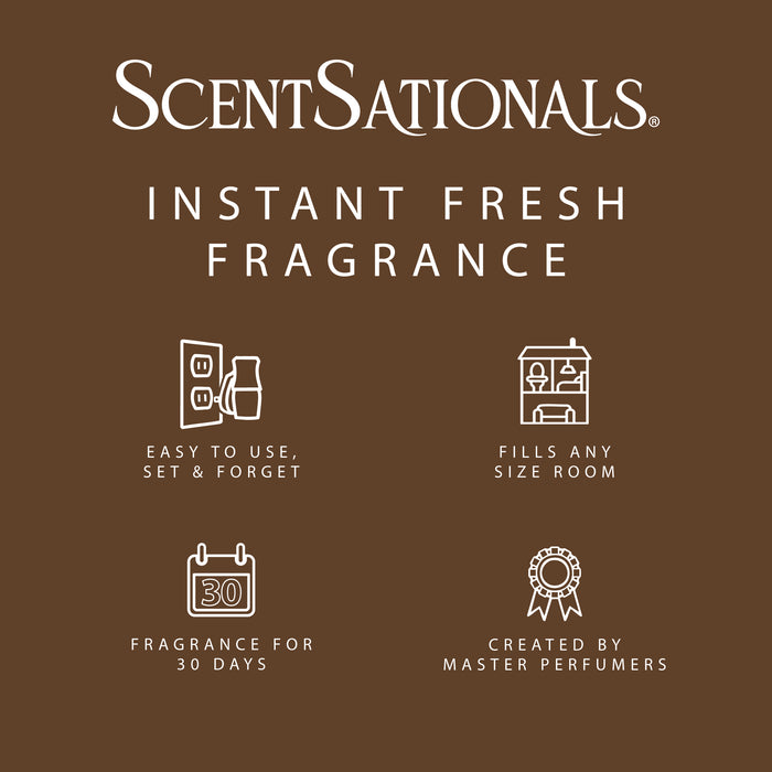 Feelin' Cozy - Fragrance Oil Plug In Air Freshener 3pk