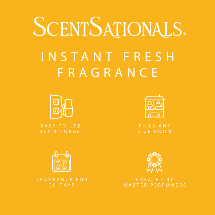 Honeysuckle Nectar - Fragrance Oil Plug In Air Freshener 3pk