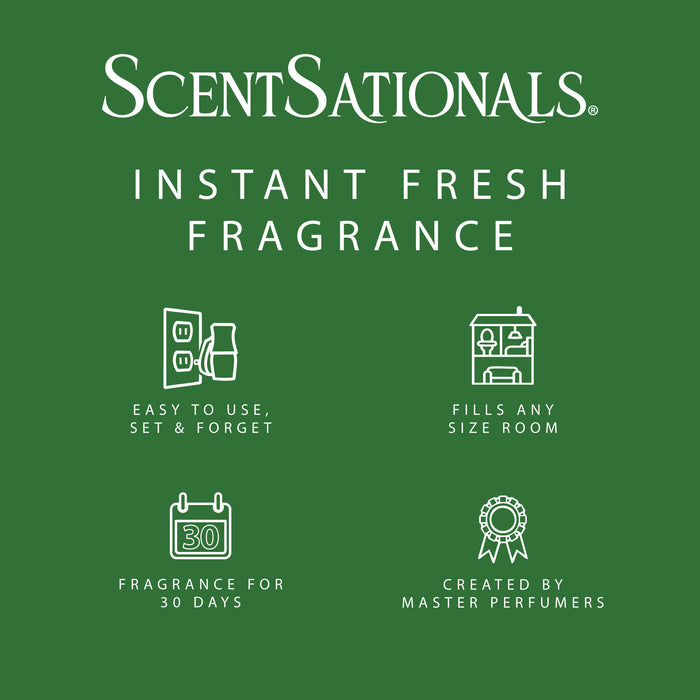 Honeysuckle Pineapple - Fragrance Oil Plug In Aire Freshener 3pk