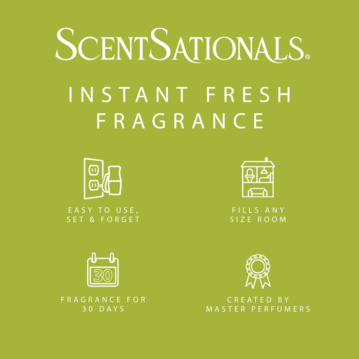 Lemon Lime Fizz - Fragrance Oil Plug In Air Freshener 3pk