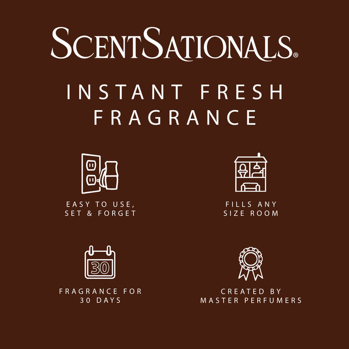 Sugar & Spice - Fragrance Oil Plug In Air Freshener 3pk