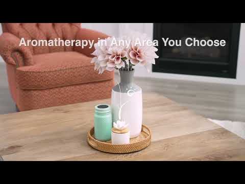 Enliven Essential Oil Blend