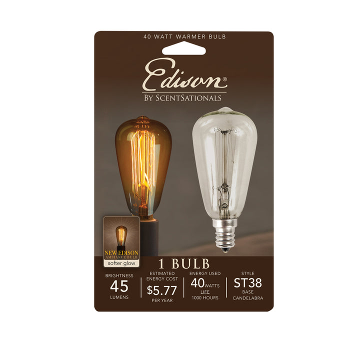 40 Watt Edison Bulb