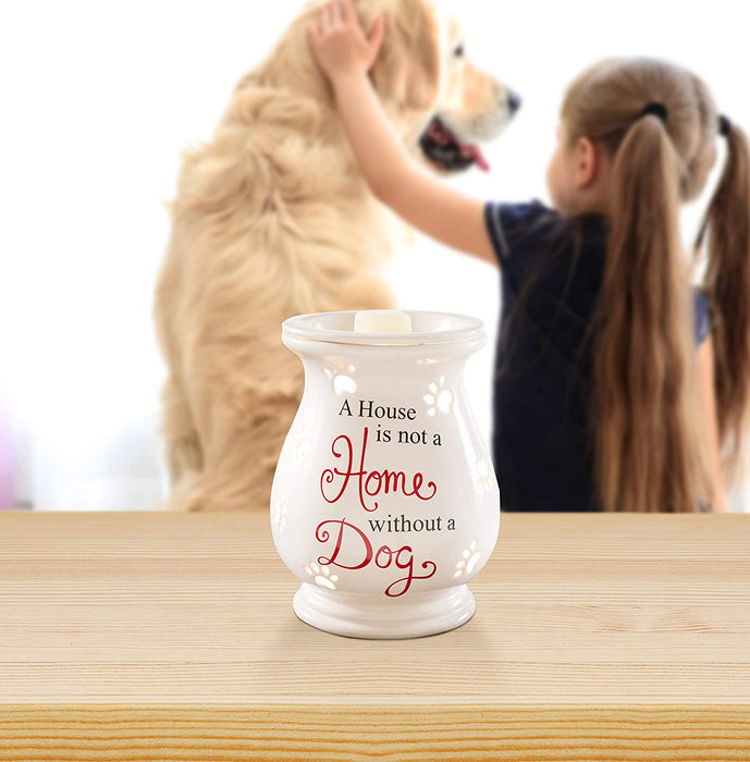 Home Without a Dog Pet Warmer