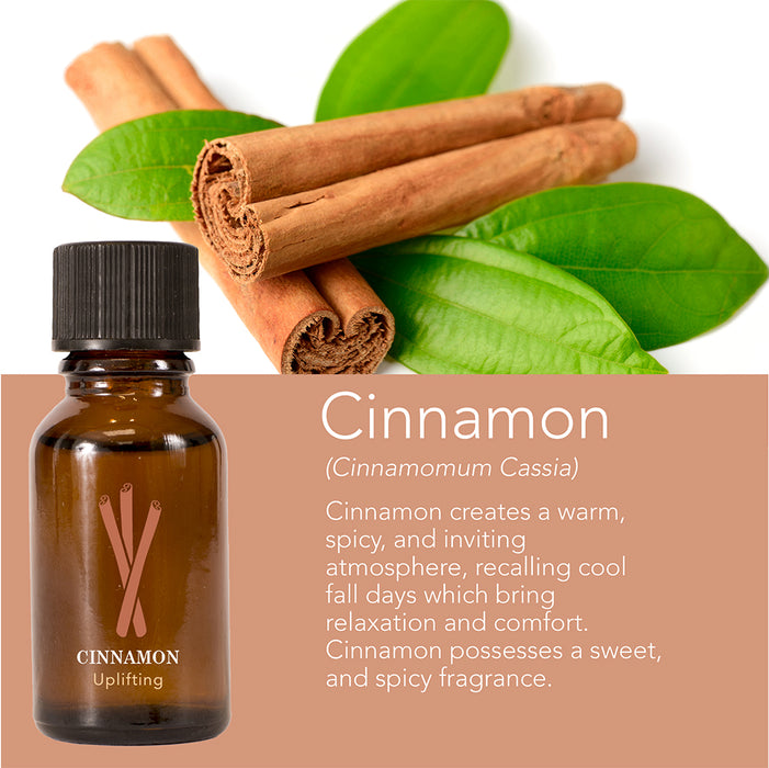 2pc Cinnamon Scented Home Fragrance Oil Home Diffusers Candles Room Th —  AllTopBargains