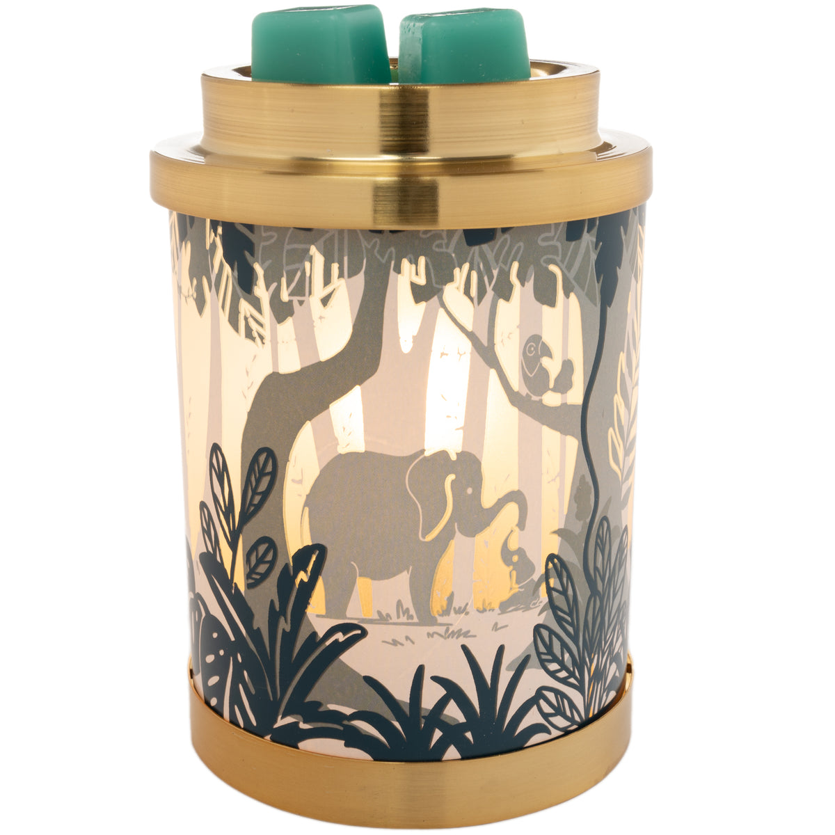 Explore Our Wax Melter Collection