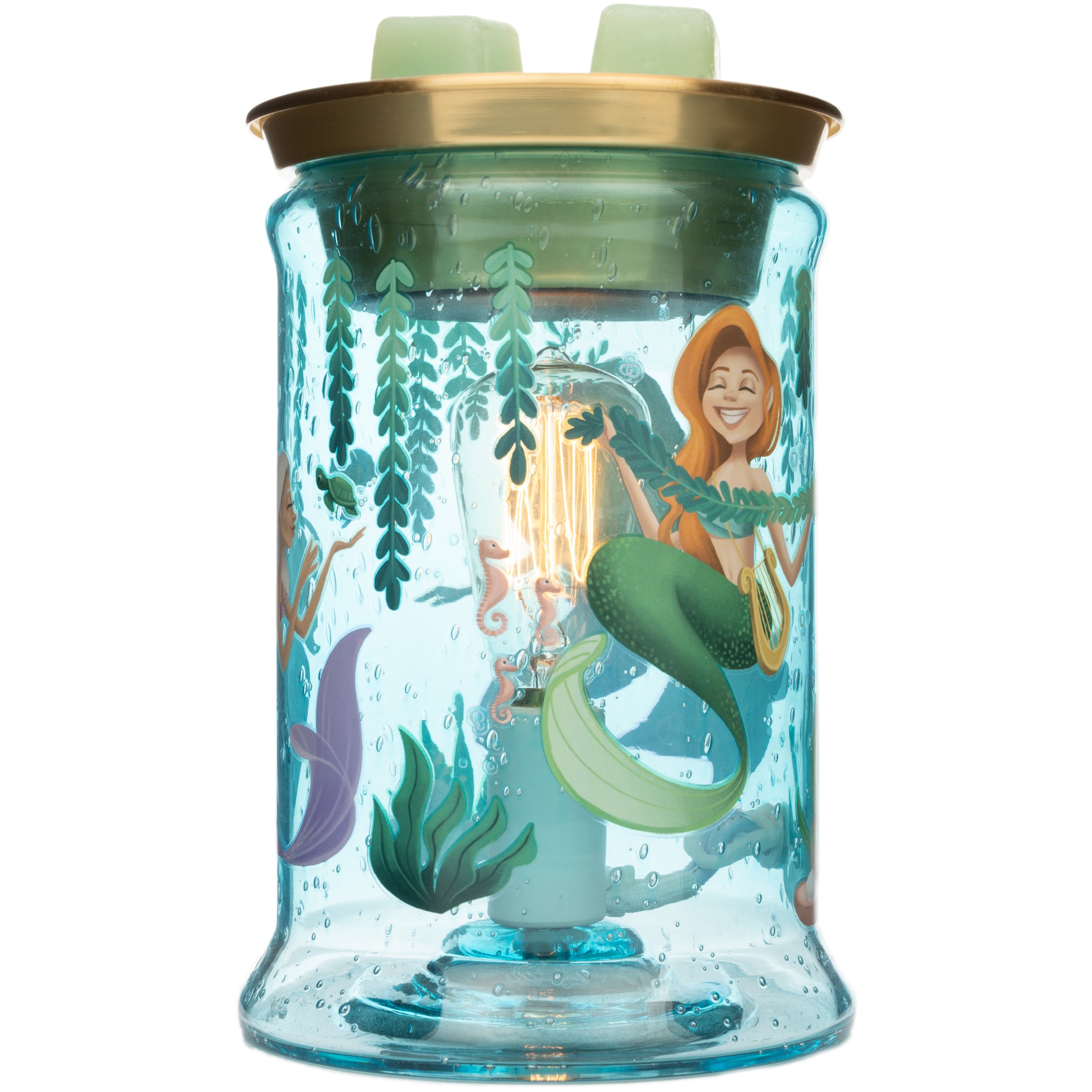 Under the Sea Warmer