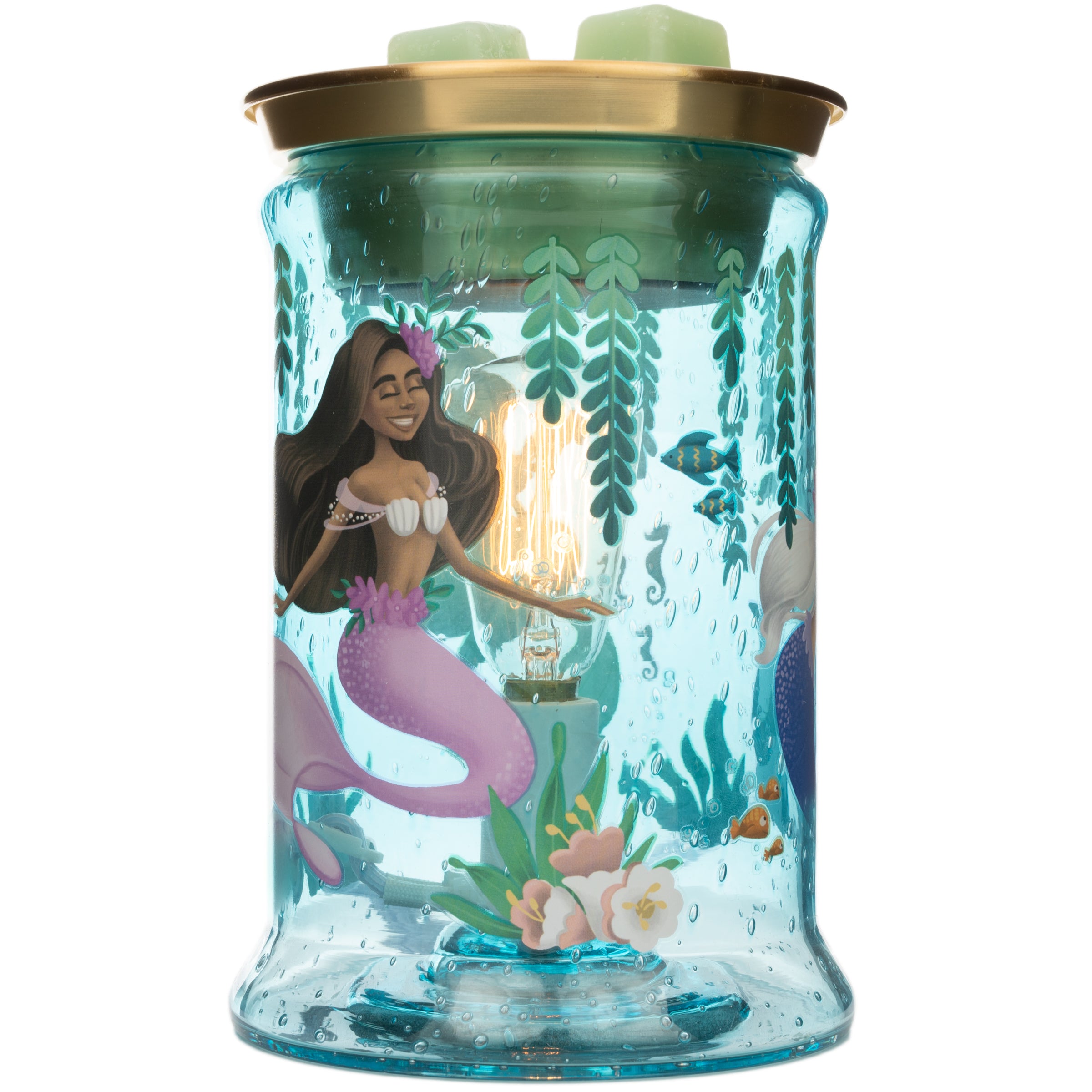 Under the Sea Warmer