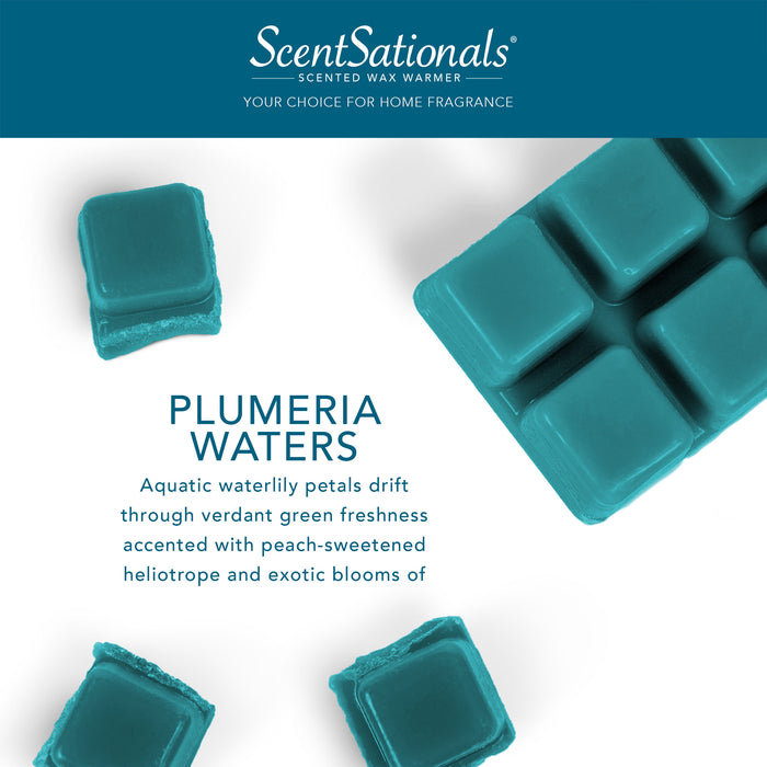 Plumeria Waters