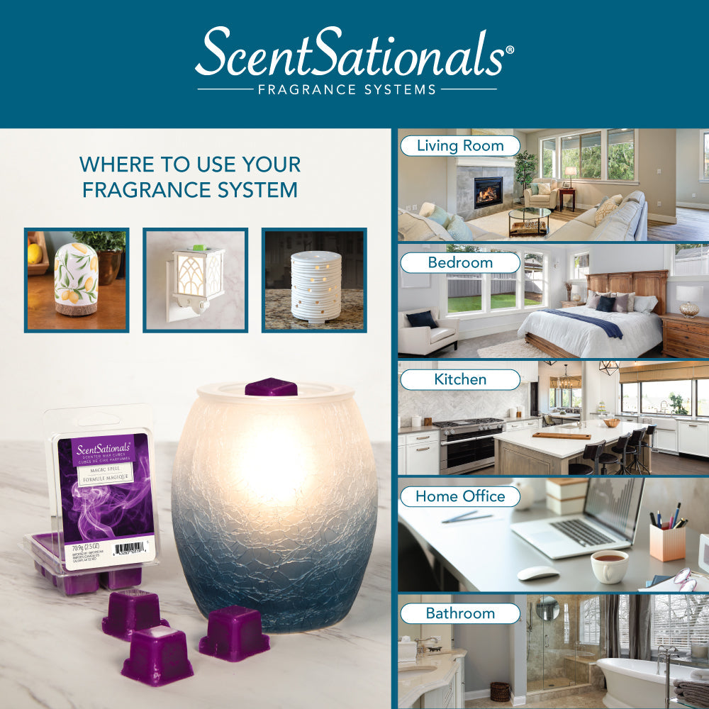 Under the Sea Warmer