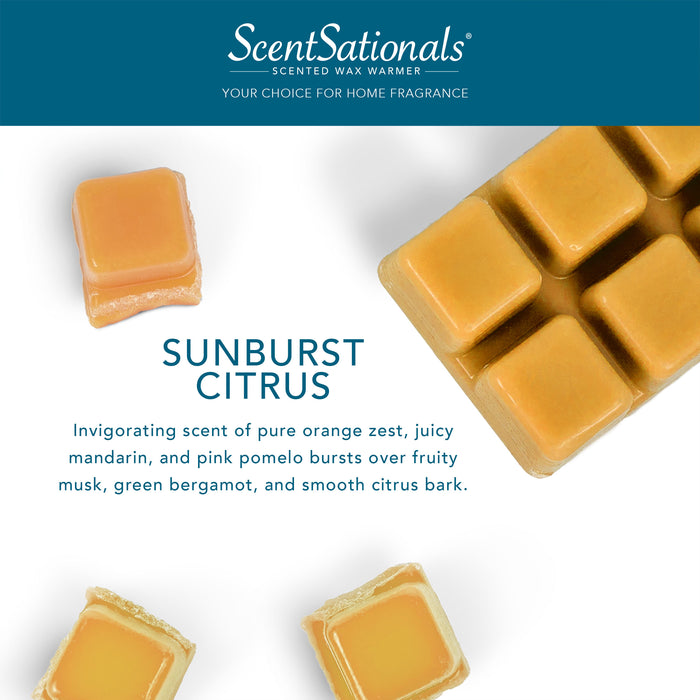 Sunburst Citrus Scented Wax Melts, ScentSationals, 2.5 oz (5-Pack)