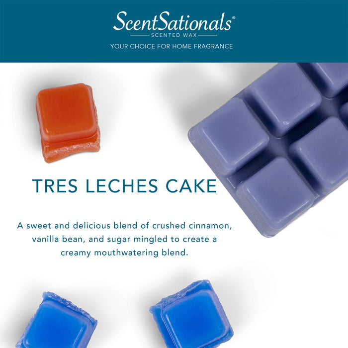 Tres Leches Cake