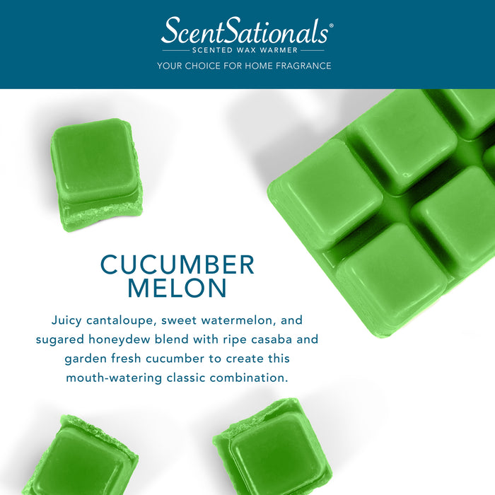 Cucumber Melon - Value Wax