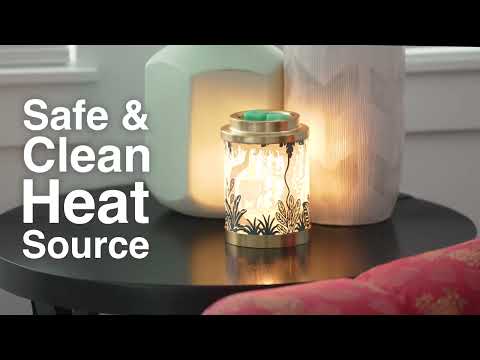 Never Grow Up Warmer